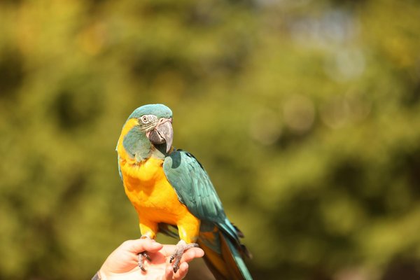 Explorer différents habitats des amphibiens